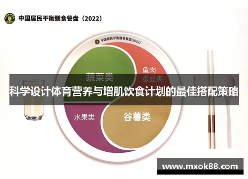 科学设计体育营养与增肌饮食计划的最佳搭配策略